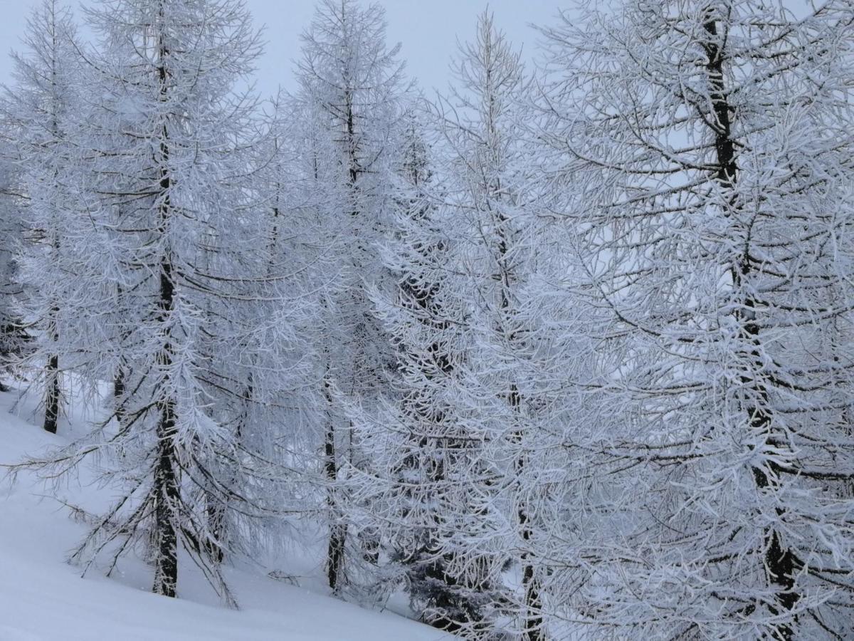 Hotel Dolomiti Levico Terme Kültér fotó